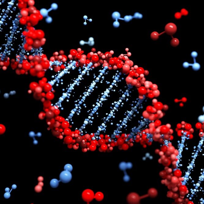 Family discussion of whether atrial fibrillation is genetic