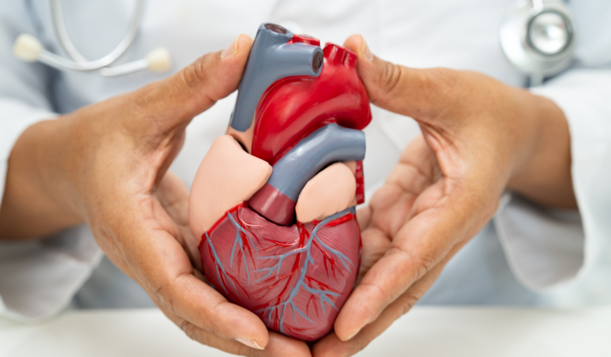 Nurse providing care during atrial fibrillation ablation recovery