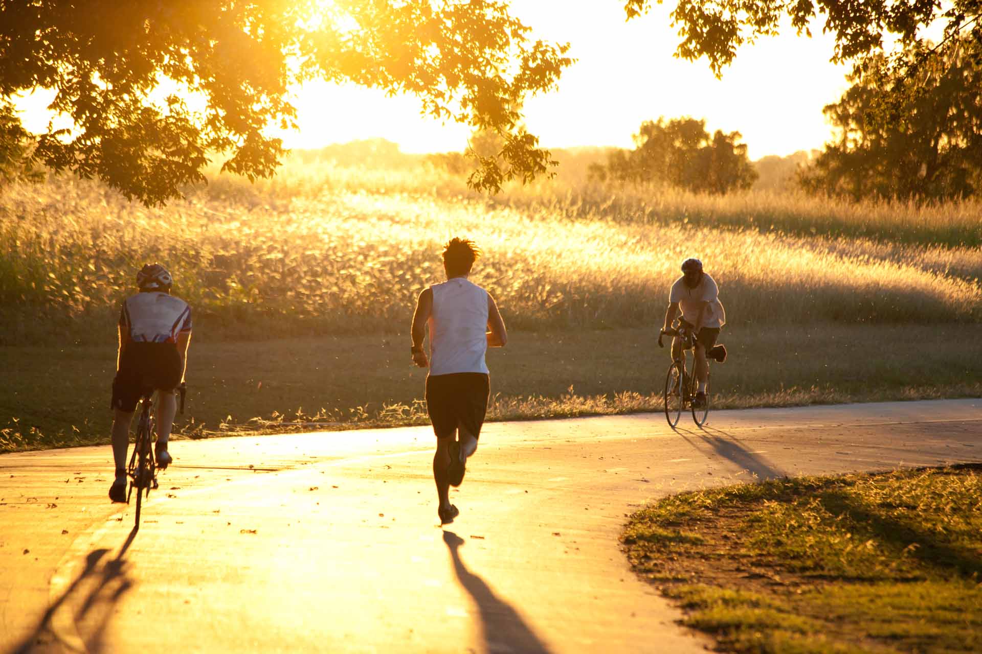 Exercise at sunset related to weight loss and heart palpitations