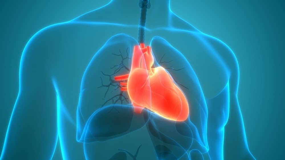 Atrial fibrillation treatment options